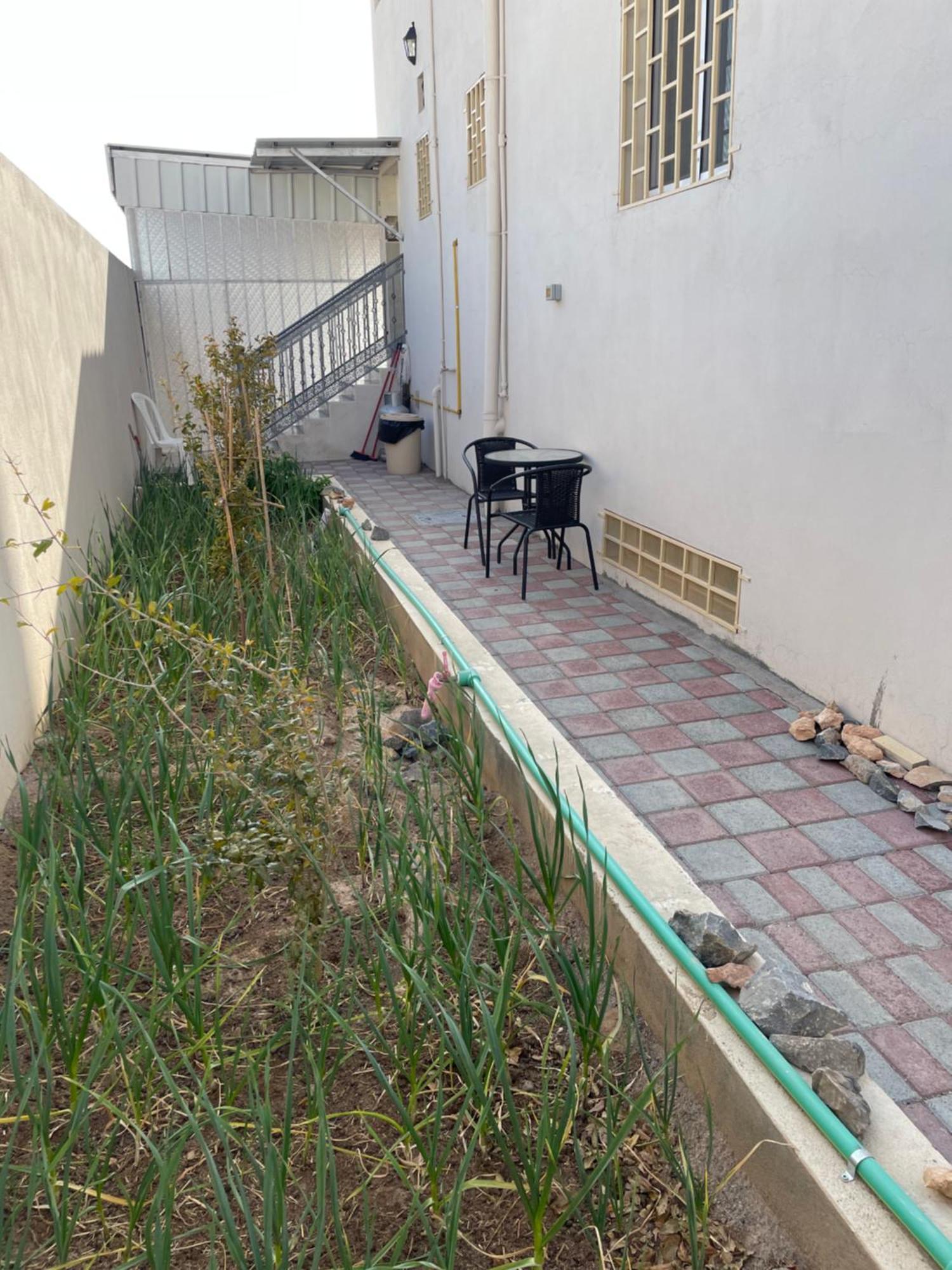 Apartment In Bayt Al Jabal شقة في بيت الجبل Sayq エクステリア 写真